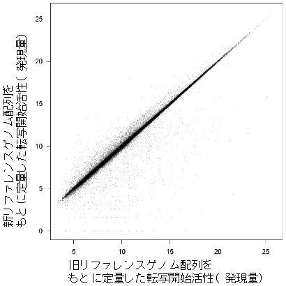 新旧リファレンスゲノム配列を基準として定量した転写開始活性の比較図