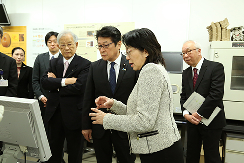 移植に使用した網膜色素上皮細胞（RPE）のシートを観察する松山大臣の写真