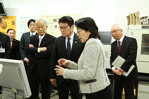 移植に使用した網膜色素上皮細胞(RPE)のシートを観察する松山大臣の写真