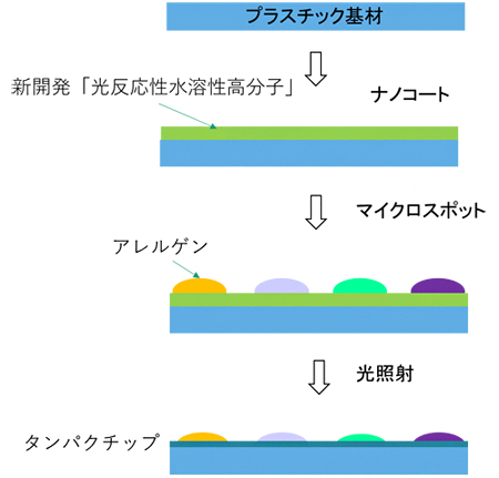 タンパクチップの作成法の図