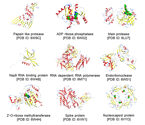 FMO計算を実施した9種のタンパク質の代表構造の図