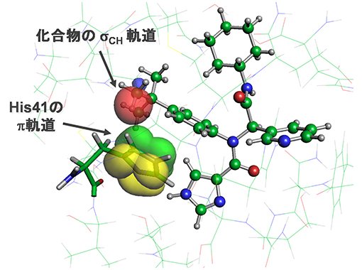 メインプロテアーゼと治療薬候補化合物がCH/π軌道相互作用を形成している様子の図