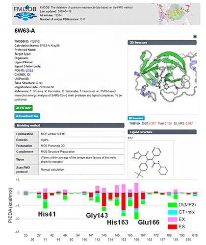 FMOデータベース(FMODB)におけるメインプロテアーゼと治療薬候補化合物の相互作用データの一例の図