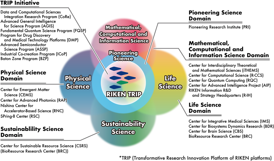 image explaining RIKEN's organization