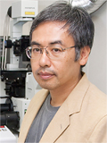 Takaomi  Saido(Ph.D.)