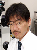 Atsushi  Miyawaki(M.D., Ph.D.)