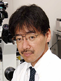 Atsushi Miyawaki(M.D., Ph.D.)