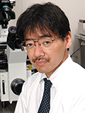 Atsushi Miyawaki(M.D., Ph.D)