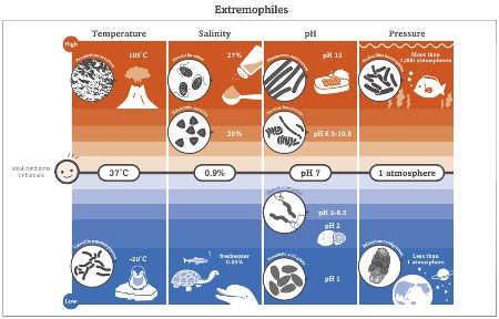 Image showing the list of extremophiles