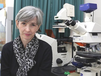 Image of Sidonia Fagarasan at her lab
