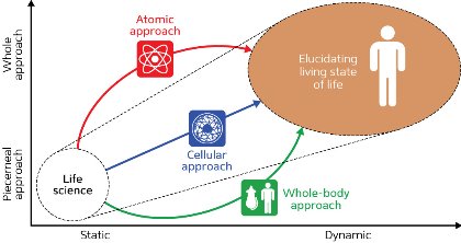 Graph showing approaches for drug discovery