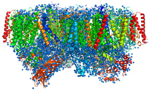 Image of photosystem II 