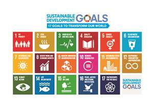 Image of SDGs