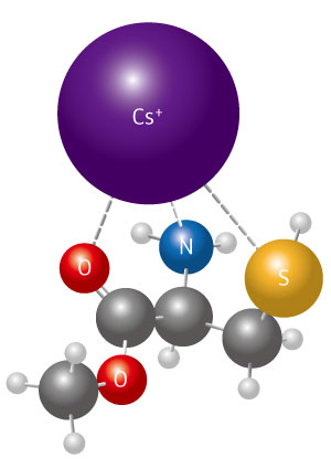 Image of L-methyl cysteinate 