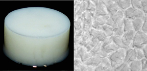 Image of a hydrogel from pectin and silk proteins