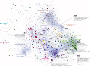 Image of promoter clusters