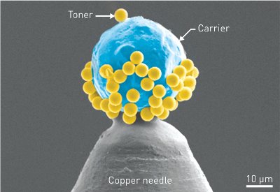 Image of toner particles on a polystyrene carrier
