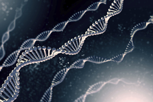 Image of DNA Image of DNA