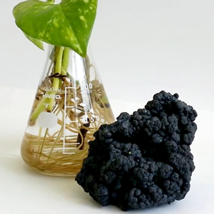 Image of manganese Image of manganese