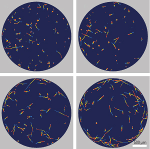 Image showing the motion of algae