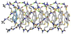 Image of corannulene polymer