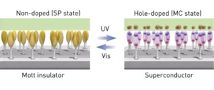 Image of Mott insulator and superconductor