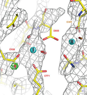 Image of a Coulomb potential map