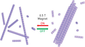 Image of assembling nanoparticles