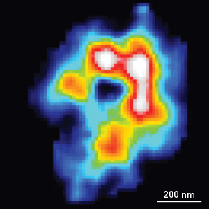 Image of the chloroplast electron density map