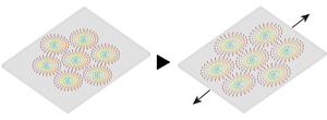 Image of skyrmions