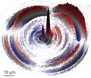 Image of magnetoelastic wave