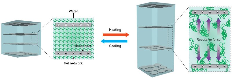 Schematic of hydrogel