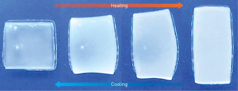 Image of hydrogel