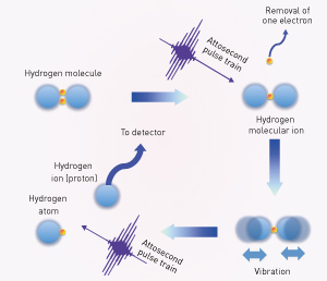 Image of successive attosecond pulses  at a hydrogen molecule 