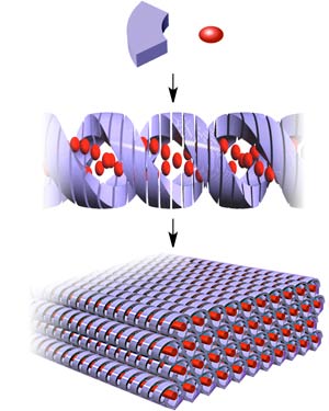 Image of polymer framework