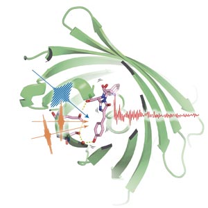 Image of frequency motion of GFP