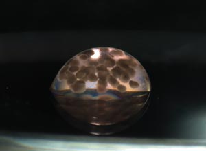 Image of clumps in a collagen gel Image of clumps in a collagen gel