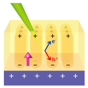 Image of a spontaneously polarized solar cell