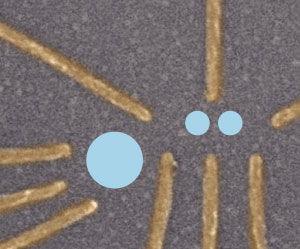 Image showing double quantum dots