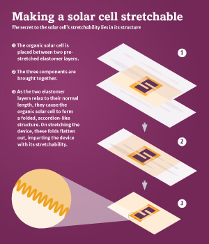small image of how to make a stretchable solar cell