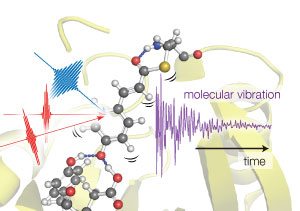 Image of molecular vibration