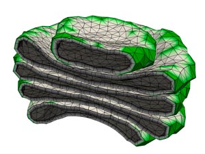 Image of a computer simulation of the Golgi apparatus