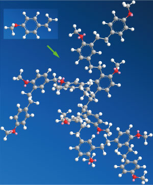 Image of a polymer containing multiple branches