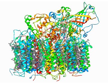 Image of photosystem II 