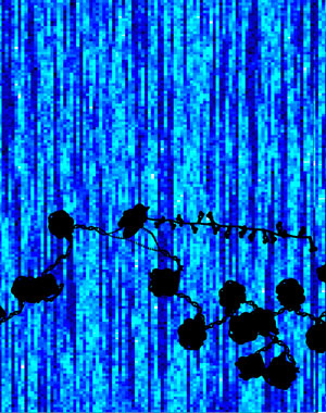 Image of chromatin