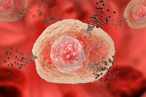 Image of a mast cell
