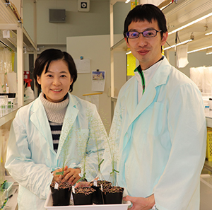 Image of Keiko Sugimoto and Michitaro Shibata