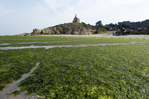 Image of a beach in Brittany