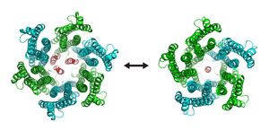 Image of structures of the ExbB/ExbD complex