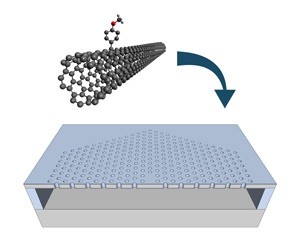 Image of doped carbon nanotubes and photonic-crystal microcavities